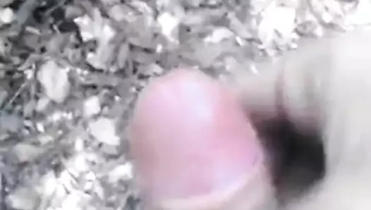 laba