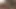 Alice ve Sabryna vahşi bir ts sikiş festivalinde selfie çekiyor, yarak emiyor ve birbirlerinin her yerine boşalıyor