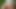 Anita Coxhard blows her husband by a peaceful creek and gets a mouthful of cum