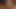 Masturbation vibration