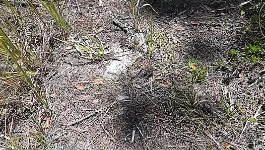 Bts Nature Walk and Masturbation on Trail
