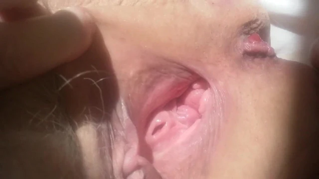 ponyboy77