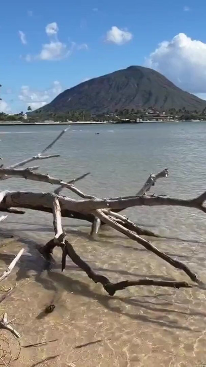 Paiko Fishpond, East Oahu, Hawaii | Clip 1