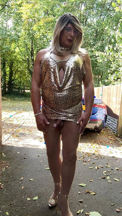 Sexy Crossdresser kellycd2022 in gold leopard print dress tan pantyhose and heels s