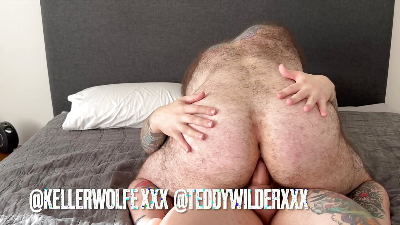 Teddy and the Wolfe