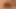Black petite babe huge double anal fucking