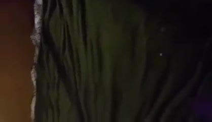 Xxx14