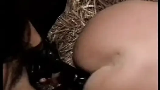 Gorgeous cowgirls fuck each other in a barn for your pleasure