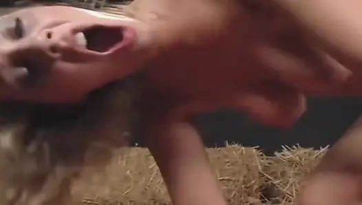 Blonde füchsin weit gedehnt in der scheune, doggystyleing