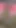 Sürtük bir cd gibi giyinmişken topuklu ve çoraplı yürüyen travesti küçük yaraklı trans bir kadın olmasını istiyor