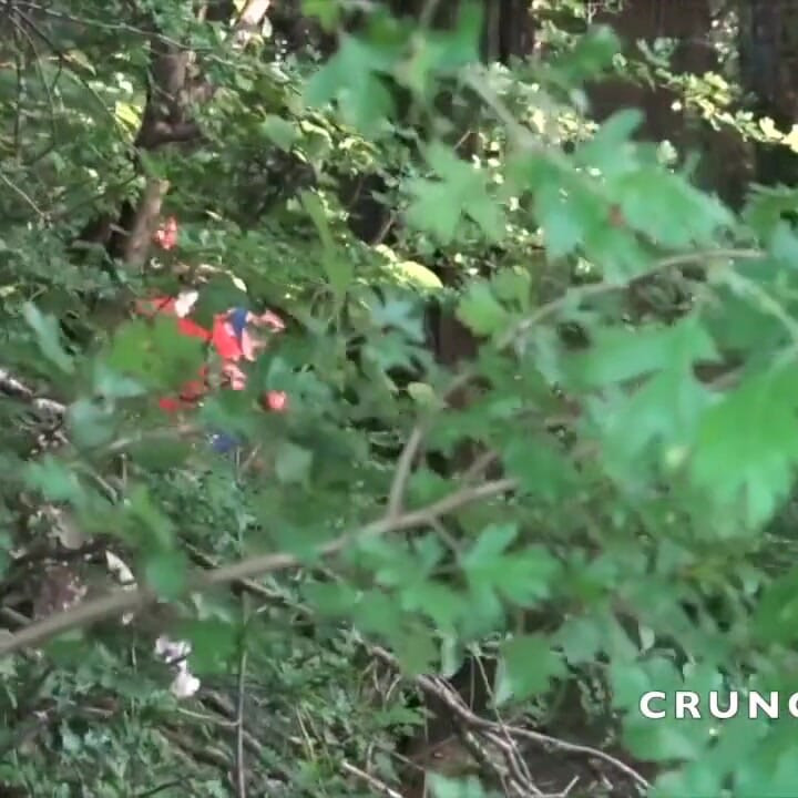 Juan Perez used raw by Enzo in cruising wood