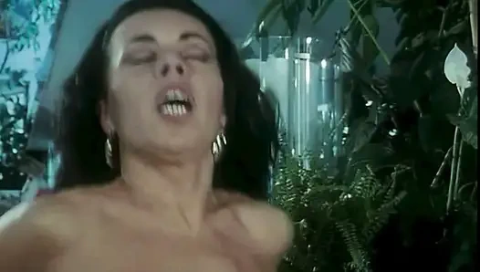 Moana dan teman-temannya dalam pesta seks liar