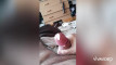 Pregled videozapisa