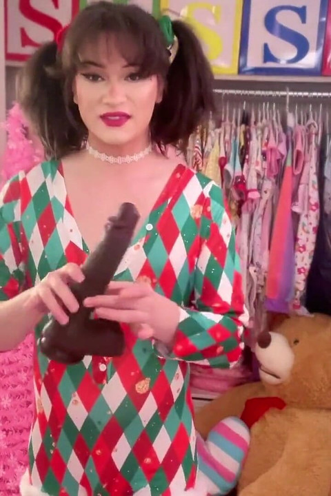 カッコウ・シシー・ホリデーパッケージ