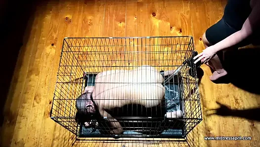 Domina Herrin april - urlaub mit meinem sklaven