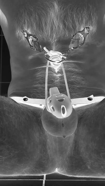 Multiple ruined orgasms in chastity cage with 30cm long penis plug