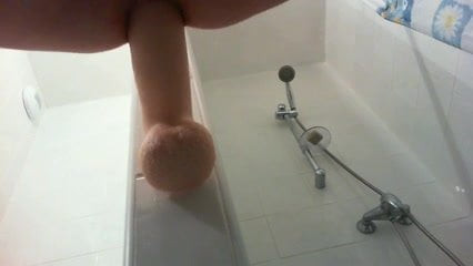 新しいおもちゃ1