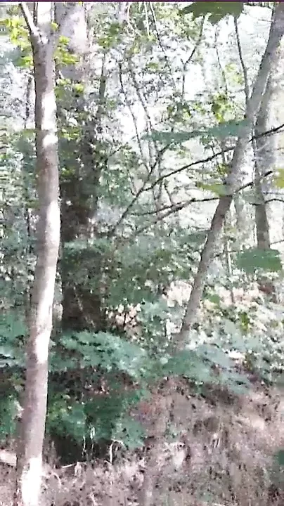 Grandpa Cruising cum