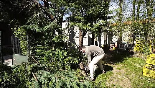 Looking for HARD TRUNKS to saw!(amateur sex in the woods)