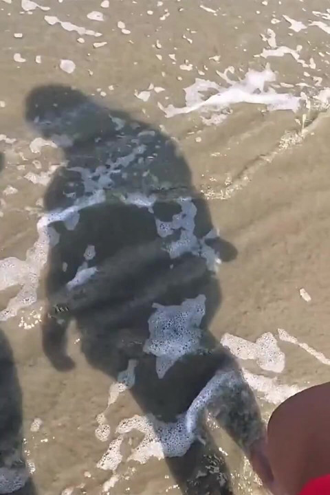 Baianinha trans ngentot pasangan di pantai