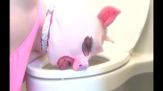 Siss piggy: por solicitud lamiendo el baño