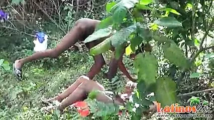 Budak muda latino bogel menghisap kawannya di dalam hutan