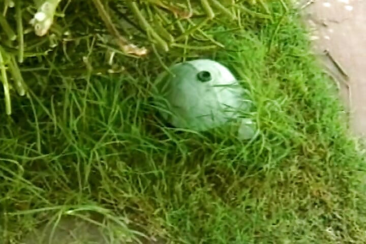 U bazénu je nejlepší hra pro některé zapařené lesbické akce