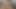 Büyük popo pawg kedi anal ve oral Creampie boşalmak derleme