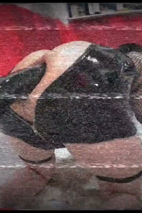 Gotik femboy tiffany ciskiss göt sikişi xxl colossus dildo