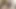 Vahşi japon hatun çılgın porno özelini bitirerek dölleniyor.