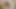小柄な中国MILF スキニーレジェンド – タイトな体が壊される