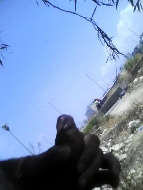 ipublic3