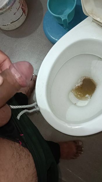 Panis home toilet pee morning