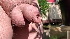 庭の濡れた包皮を通して放尿するノーカットコック
