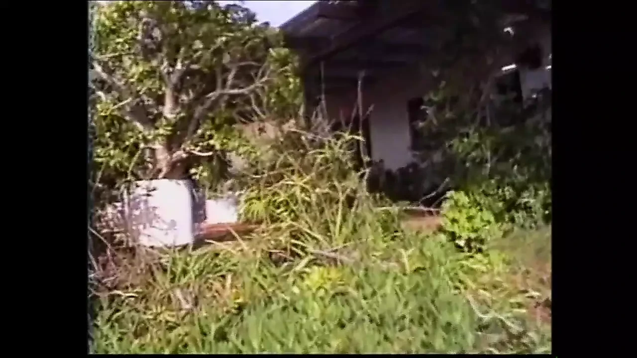 两个性感黑发女郎的热辣游戏