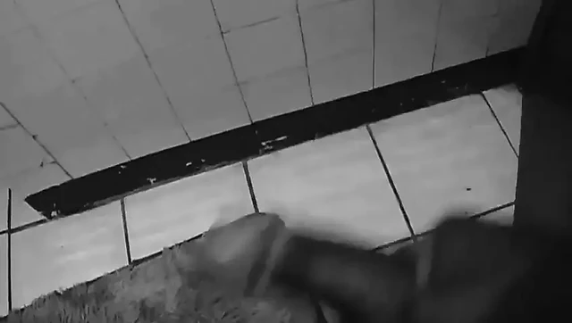Jamaican Cock