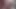 Vibrator. Huge cum. Sex toy. Condom huge cum.