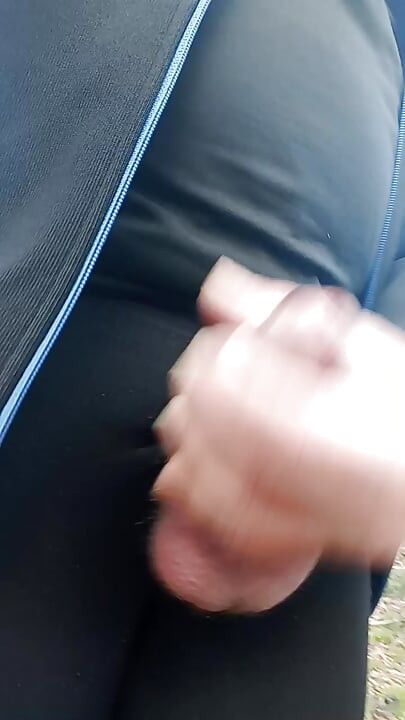 Şişman Willi ormanda yürüyor.