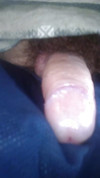 Pratinjau video