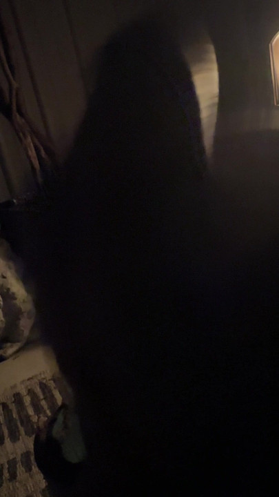 私ファイアサイド