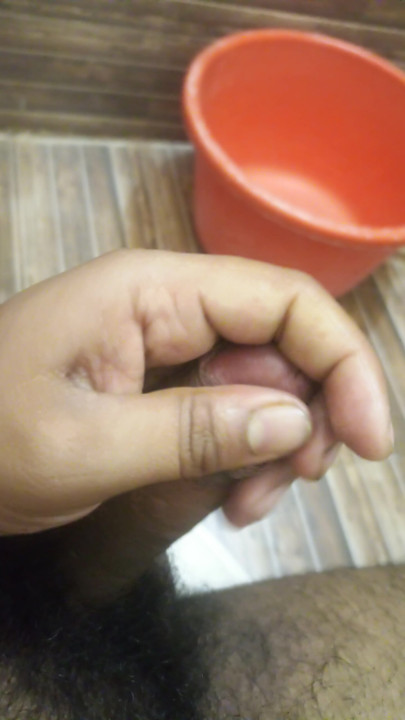 Meu pau na tela pela primeira vez