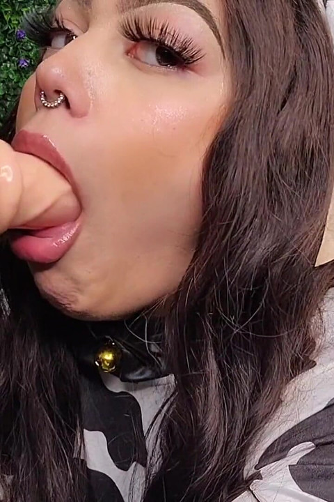 Big Bull Cock