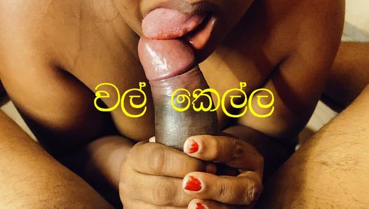 Sri lanka blowjob monsterschwanz - redartlk