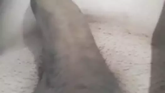 Olh Mera Malakia