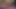 A Malayali woman living in Tamil Nadu massages her husband's penis with her mouth