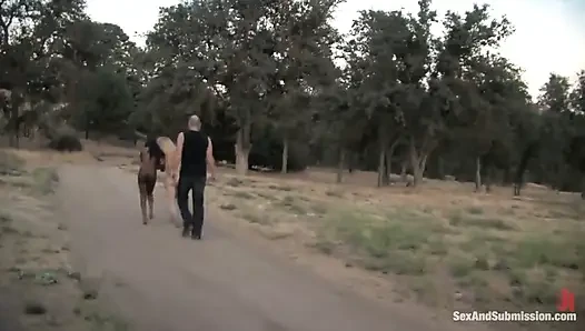 El Rancho