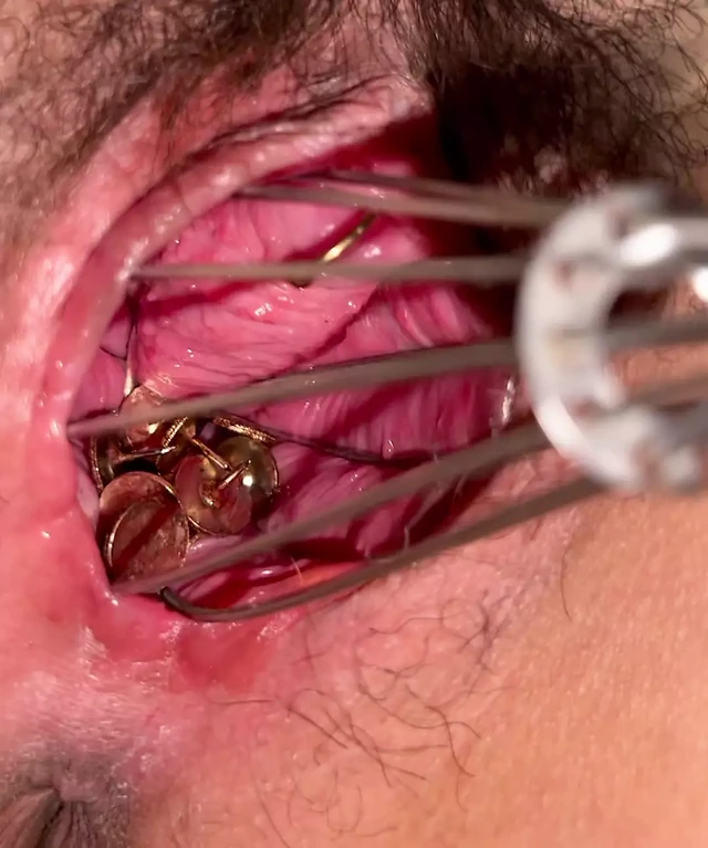 Put a thumbtack in your pussy and stir it with a whisk