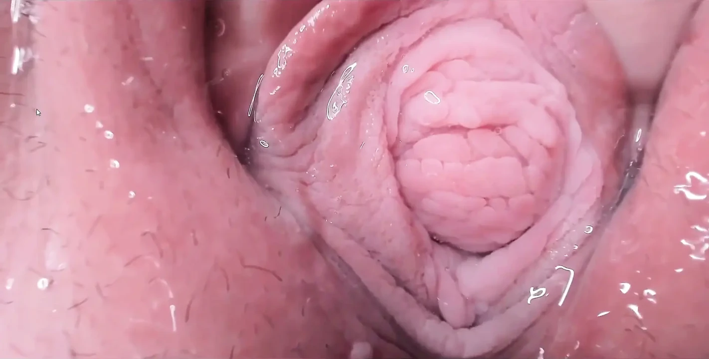 See Inside Me