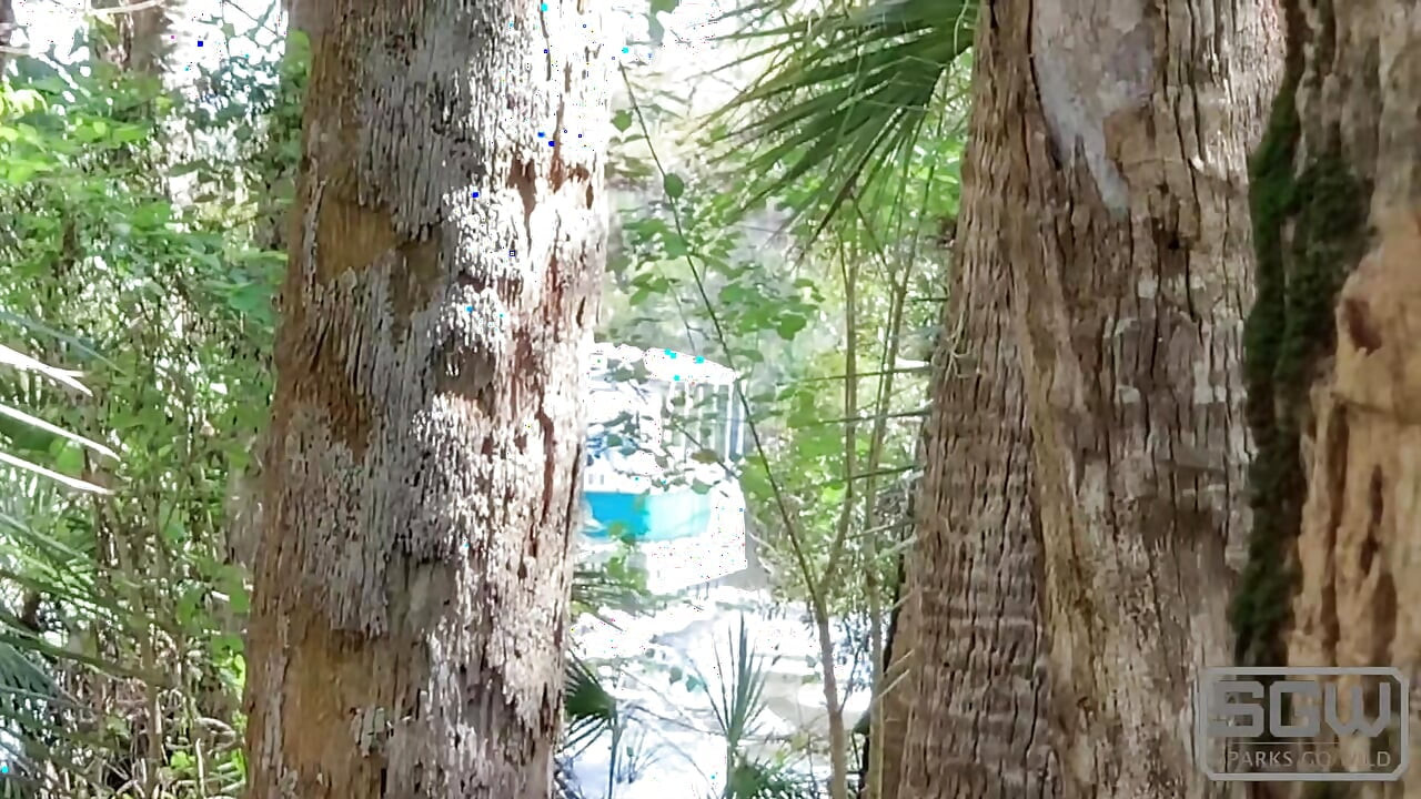 Hiking and Fucking at the Myakka River