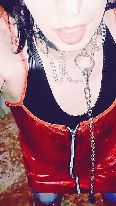 Tammysissy fugowane i